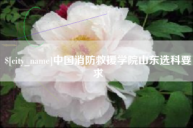 桐乡中国消防救援学院山东选科要求
