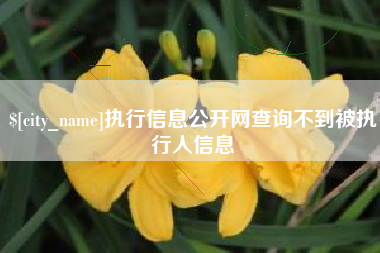 桐乡执行信息公开网查询不到被执行人信息