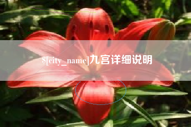 桐乡九宫详细说明