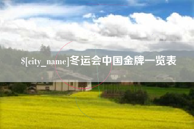 桐乡冬运会中国金牌一览表