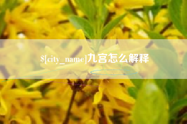 桐乡九宫怎么解释