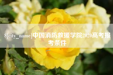 桐乡中国消防救援学院2020高考报考条件