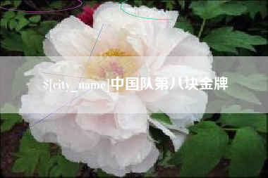 桐乡中国队第八块金牌