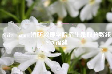 桐乡消防救援学院招生录取分数线2020福建