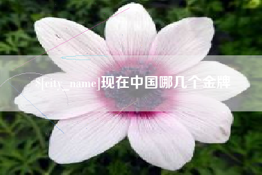 桐乡现在中国哪几个金牌
