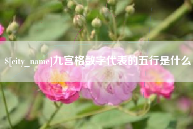 桐乡九宫格数字代表的五行是什么