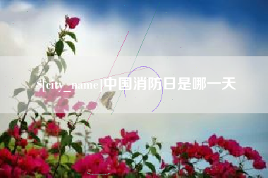 桐乡中国消防日是哪一天