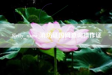 桐乡消防证国网查询操作证