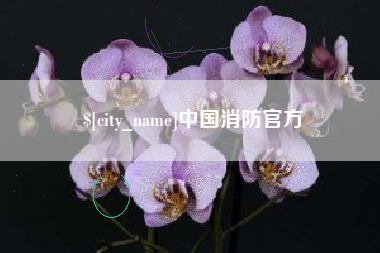 桐乡中国消防官方