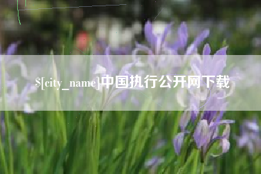 桐乡中国执行公开网下载