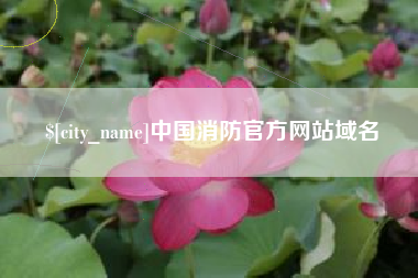 桐乡中国消防官方网站域名