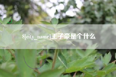 桐乡王子豪是个什么