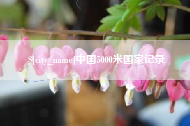 桐乡中国5000米国家记录