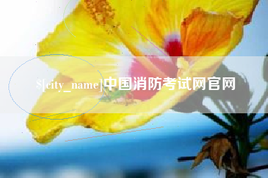桐乡中国消防考试网官网