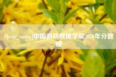 桐乡中国消防救援学院2020年分数线