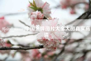 桐乡中国金牌图片大全大图真实高清