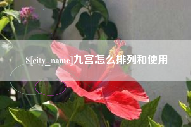 桐乡九宫怎么排列和使用
