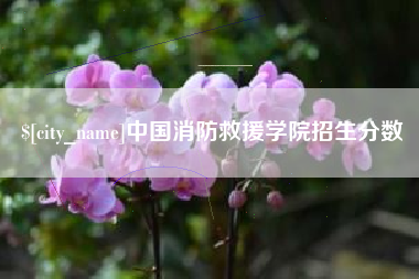桐乡中国消防救援学院招生分数