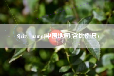 桐乡中国地图(含比例尺)