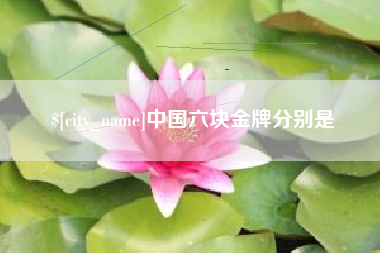 桐乡中国六块金牌分别是