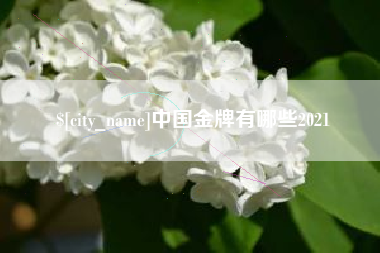 桐乡中国金牌有哪些2021