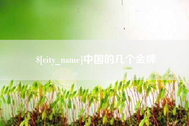 桐乡中国的几个金牌
