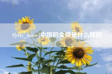 桐乡中国的金牌是什么样的