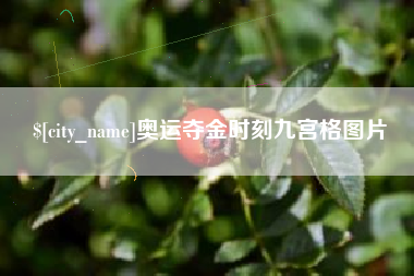 桐乡奥运夺金时刻九宫格图片