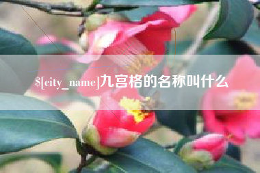 桐乡九宫格的名称叫什么