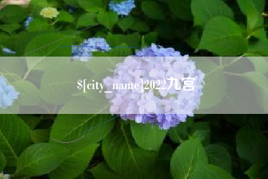 桐乡2022九宫