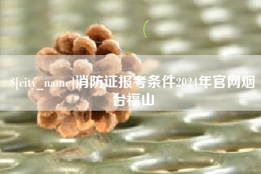 桐乡消防证报考条件2024年官网烟台福山