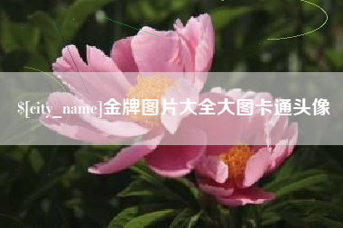 桐乡金牌图片大全大图卡通头像