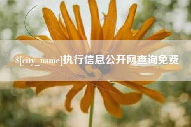 桐乡执行信息公开网查询免费