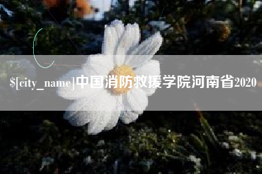 桐乡中国消防救援学院河南省2020
