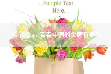 桐乡看看中国的金牌有多少
